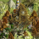 Illustration for article titled Bring a Little Middle Earth To emAge of Empires/em